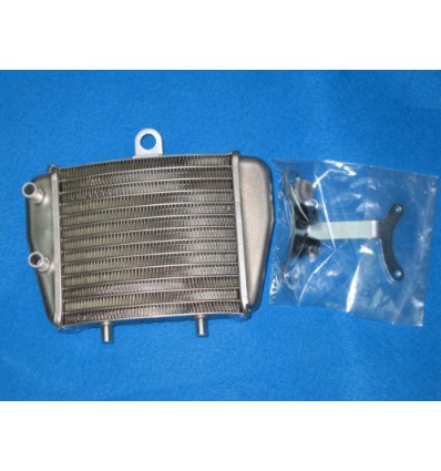 RADIADOR + SOPORTE GP3