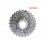 PIÑON CASSETTE 8V MONSOON 12-28T